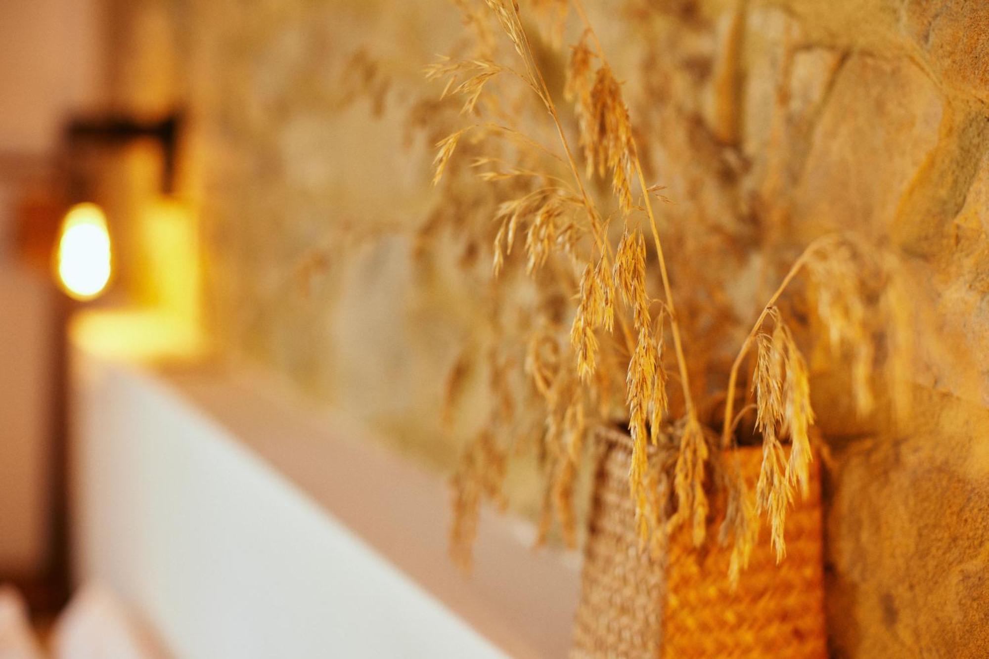 Glamping Le Dune Cinigiano Exterior photo